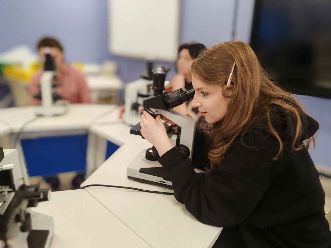 Бесплатное обучение